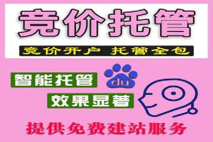 竞价推广的预算分配与优化：案例解读